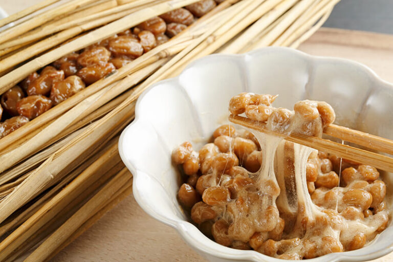 糸引き納豆と寺納豆(浜納豆)の違い|同じ「納豆」でも別物!原料・菌・製法・味・使い方まで徹底比較